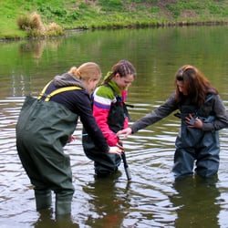 Kita-Lindenhof, Lindenhof-Grundschule - Schüler bei der Entnahme von Wasserproben aus dem Lindenhof-Weiher im Rahmen einer Kooperation mit dem Fachgebiet