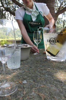 Quinta de Covela by null