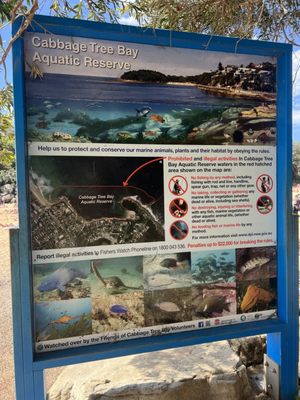 Shelly Beach by null