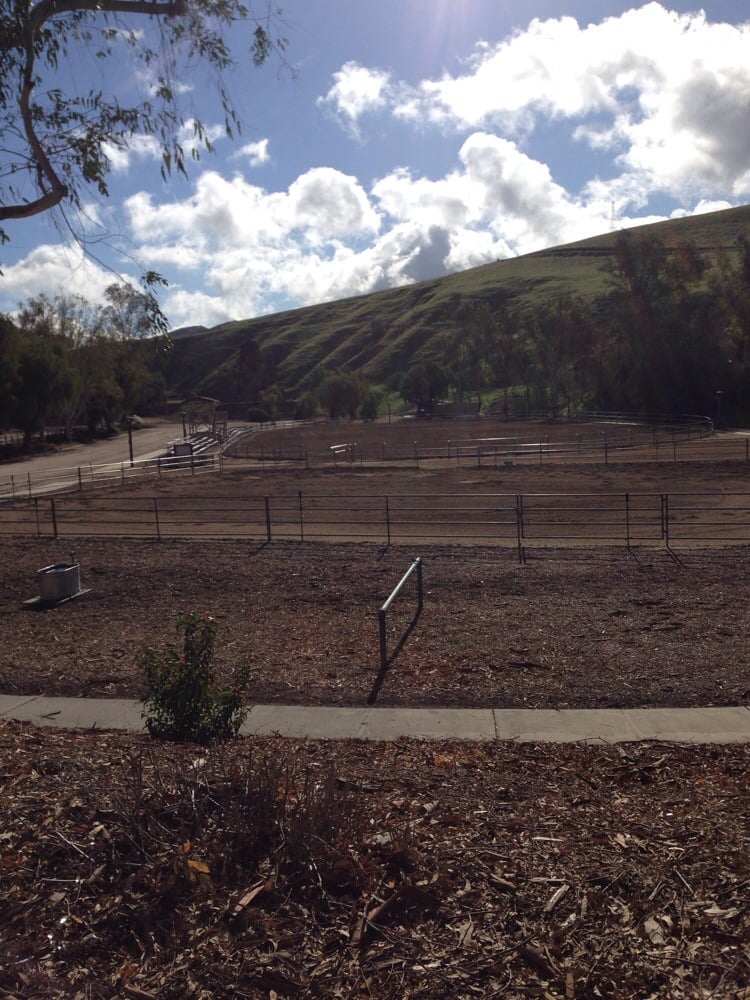 Arroyo Simi Equestrian Center Logo