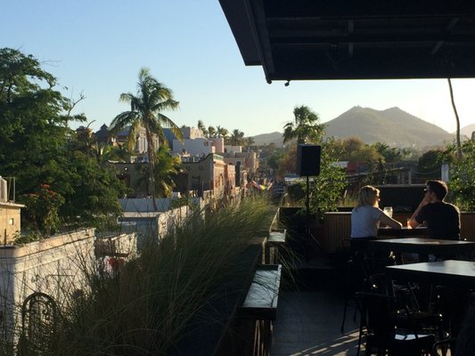 Dalton Gin Bar by null