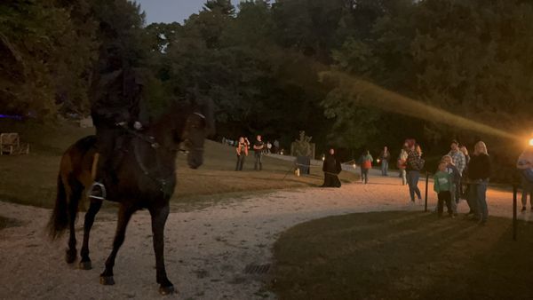 Washington Irving's Sunnyside by null