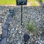 My Yard Center
