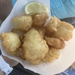 Manly Ocean Foods - Fish Bites
