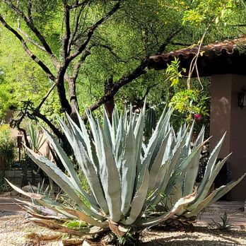 The Hermosa Inn - Hotels Near Me - Paradise Valley, Arizona The Hermosa Inn - Hotels Near Me - Paradise Valley, Arizona