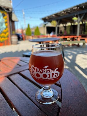 Strange Roots Experimental Ales by null