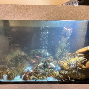 Tasty Wok - Lobster Tank - Cantonese Near Me - Orlando, Florida Tasty Wok - Lobster Tank - Cantonese Near Me - Orlando, Florida