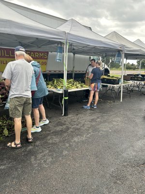 Westminster Farmers Market by null