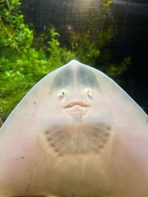 Cape Cod Museum Of Natural History by null