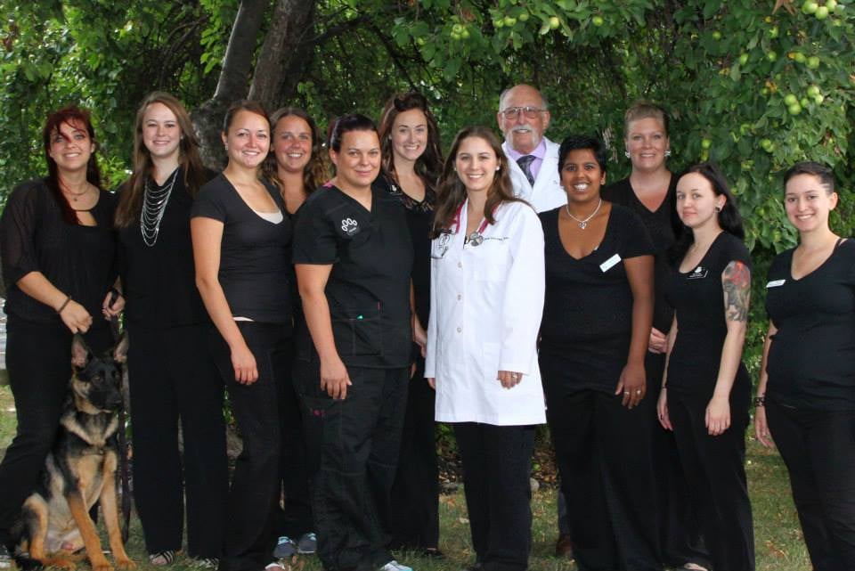 MEADOWLANDS VETERINARY CENTER Updated September 2024 15 Reviews