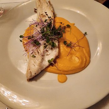 Café Mozart - Zander, with sweet potato puree. - Cafes Near Me - Prague, Puerto Rico Café Mozart - Zander, with sweet potato puree. - Cafes Near Me - Prague, Puerto Rico