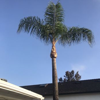 The Weed Man - Job well done - Tree Services Near Me The Weed Man - Job well done - Tree Services Near Me