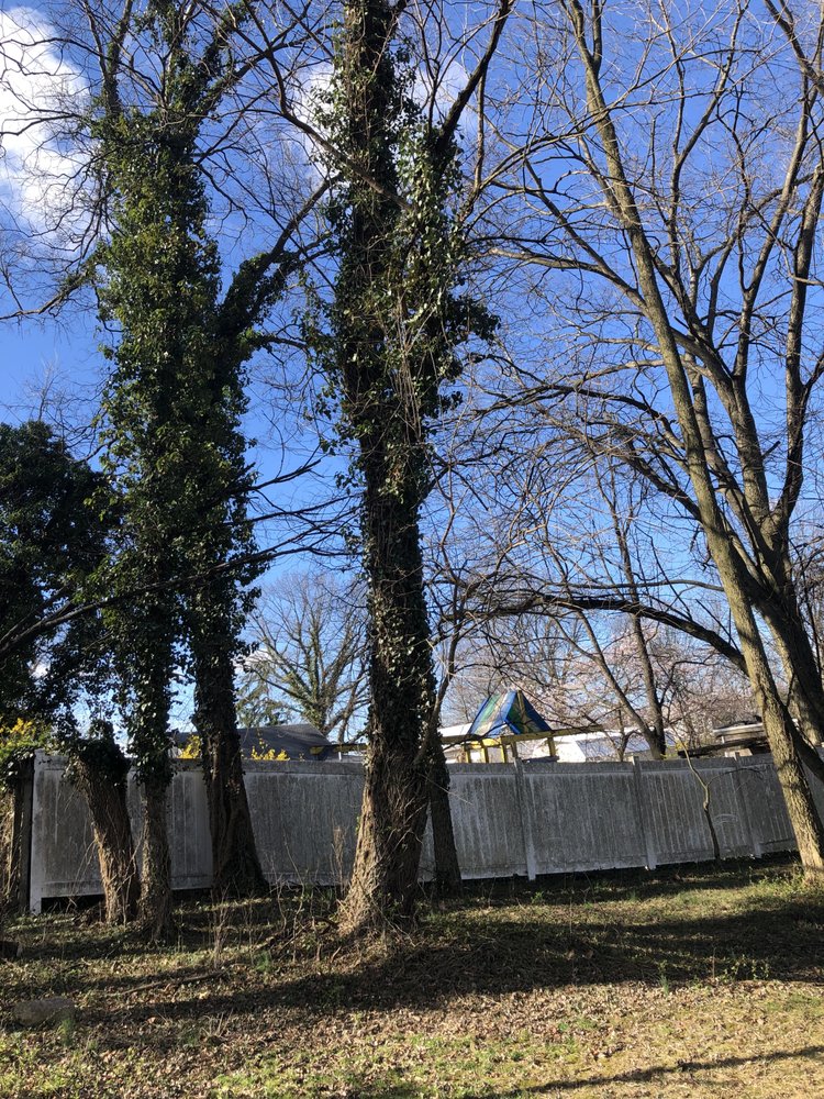 Local Lumberjack’s - tree service in Harrisburg, PA