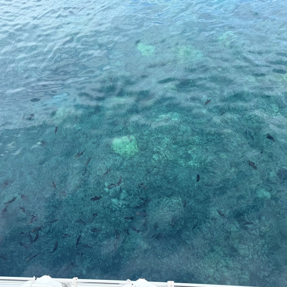 Four Winds Molokini Maui Snorkel Tour - Beautiful waters (picture from the boat) - Snorkeling Near Me - Maalaea, Hawaii