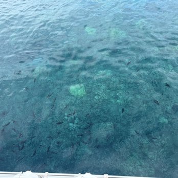 Four Winds Molokini Maui Snorkel Tour - Beautiful waters (picture from the boat) - Snorkeling Near Me - Maalaea, Hawaii