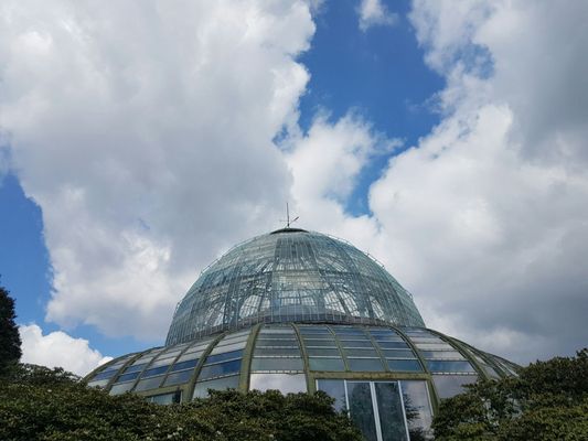 Royal Greenhouses of Laeken by null