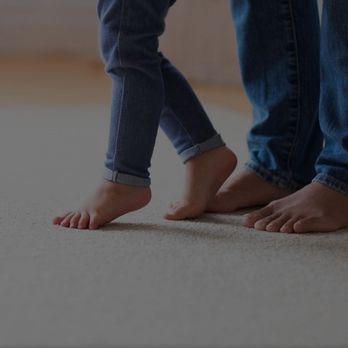 Ecodry Ny Carpet Cleaning 1103 Jervis Ave Ecodry Ny Carpet Cleaning