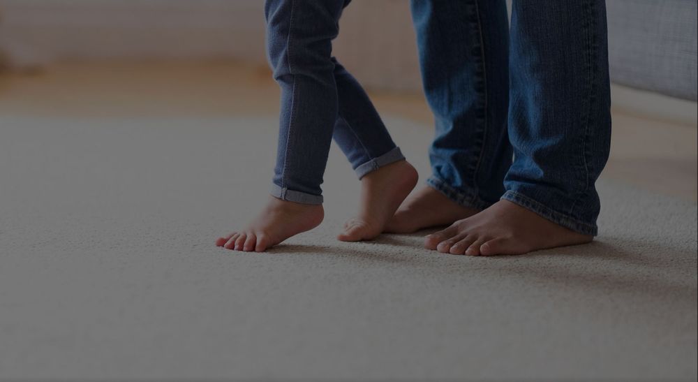 ECODRY NY CARPET CLEANING Carpet Cleaning 1103 Jervis Ave, Rome, NY