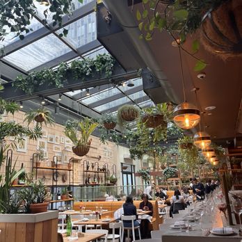 Terra - Inside - Italian Near Me - Boston, Massachusetts