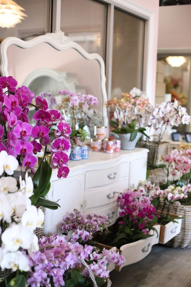 ORCHID REPUBLIC FLORAL BOUTIQUE Updated October 2024 448 Photos