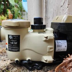 One Call Plumbing Services