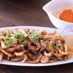7 Fishes - Drunken Shrimps