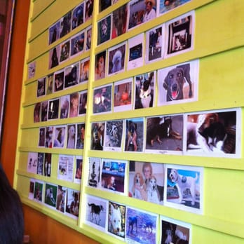 Cool Moose Cafe - The new dog wall - Breakfast & Brunch Near Me - Jacksonville, Florida