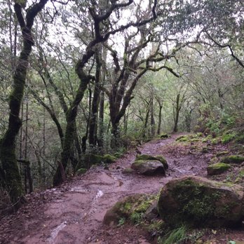 Trione-Annadel State Park - Trail after heavy rains! All good! - Parks Near Me - Santa Rosa, California Trione-Annadel State Park - Trail after heavy rains! All good! - Parks Near Me - Santa Rosa, California