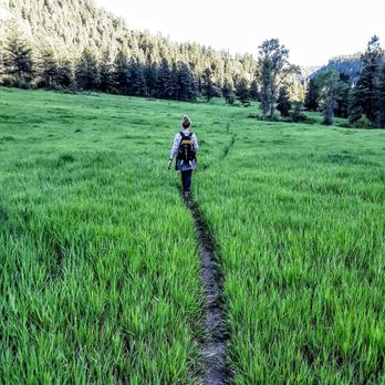 Dry Fork Trail - River Walk - Hiking Near Me - Durango, Colorado