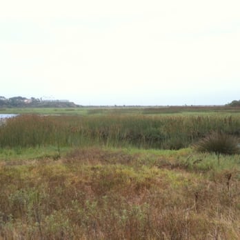 San Elijo Lagoon Ecological Reserve - Parks Near Me - Encinitas, California San Elijo Lagoon Ecological Reserve - Parks Near Me - Encinitas, California