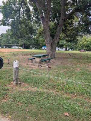 Emma Long Metropolitan Park by null