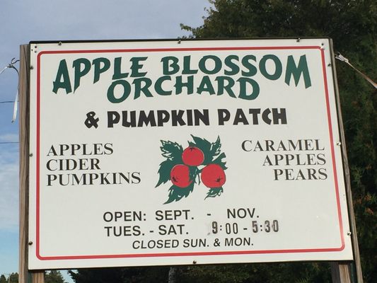 Apple Blossom Orchard