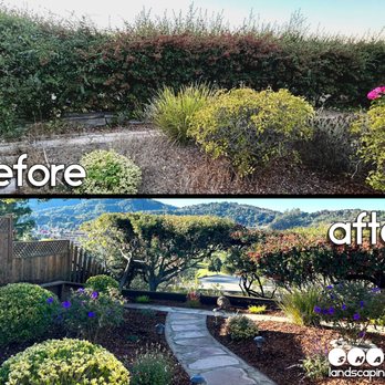 Shaw Landscaping & Design - San Rafael landscaping project. - Landscaping Near Me Shaw Landscaping & Design - San Rafael landscaping project. - Landscaping Near Me