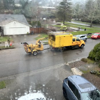 Climbing Monkeys Tree Services & Landscaping - Chipper - Tree Services Near Me - Hillsboro, Oregon Climbing Monkeys Tree Services & Landscaping - Chipper - Tree Services Near Me - Hillsboro, Oregon