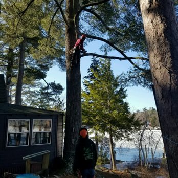 Greenleaf Tree Experts - Tree Services Near Me - Moultonborough, New Hampshire