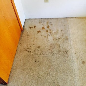 K&S Carpet Cleaning and Restoration - Before carpet cleaning - Carpet Cleaning Near Me K&S Carpet Cleaning and Restoration - Before carpet cleaning - Carpet Cleaning Near Me