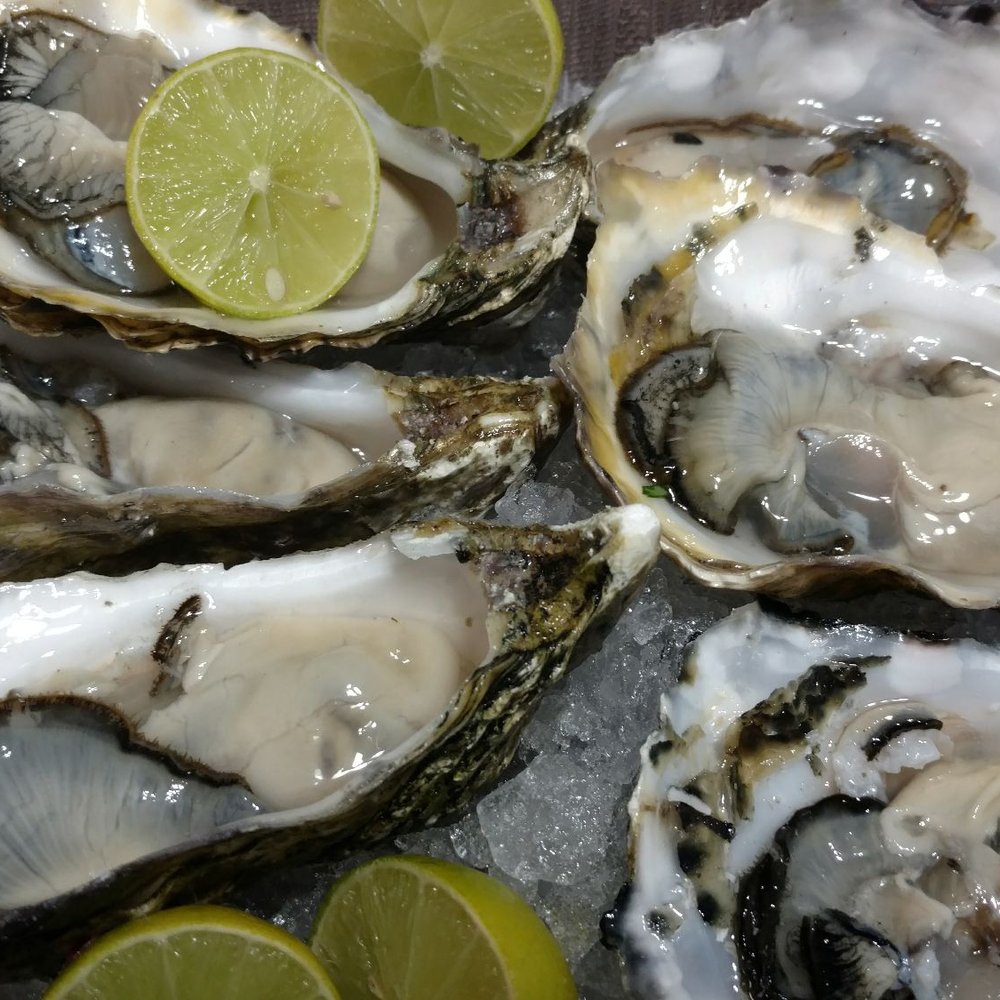 Mariscos German - half dozen oysters, so fresh and delicious. 10.5/10 - Food Trucks Near Me - San Diego, California Mariscos German - half dozen oysters, so fresh and delicious. 10.5/10 - Food Trucks Near Me - San Diego, California