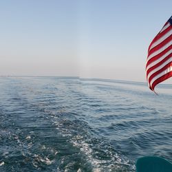 Islamorada Turtle Tours
