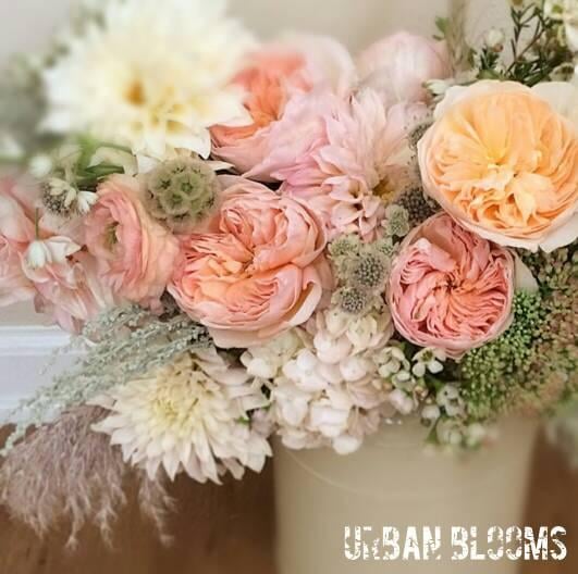 URBAN BLOOMS Los Angeles, California Florists Phone Number Yelp
