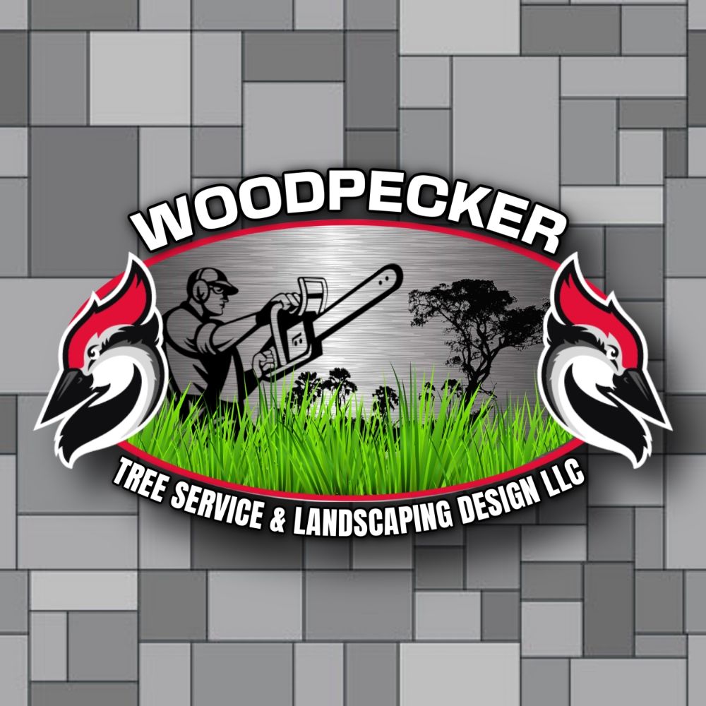 WOODPECKER TREE SERVICE & LANDSCAPING DESIGN - Updated January 2025
