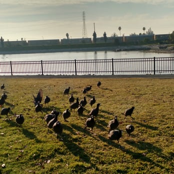 Hidden Lake Park - Local Flavor Near Me - Milpitas, California Hidden Lake Park - Local Flavor Near Me - Milpitas, California