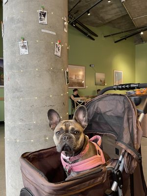 Philz Coffee by null