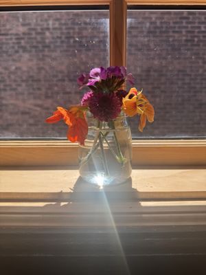 WARDA PATISSERIE by null