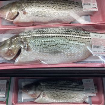 Lee Lee International Supermarkets - Fresh fish - Seafood Markets Near Me - Tucson, Arizona Lee Lee International Supermarkets - Fresh fish - Seafood Markets Near Me - Tucson, Arizona