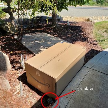 US Post Office - 2025 Jul 20: Box placed next to sprinkler - Post Offices Near Me - Oakhurst, California US Post Office - 2025 Jul 20: Box placed next to sprinkler - Post Offices Near Me - Oakhurst, California