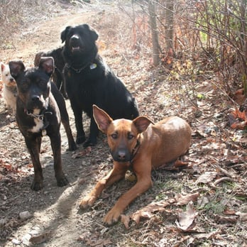 Ruff Stuff Dog Services - Group hikes - Vancouver - Dog Walkers Near Me - Vancouver, British Columbia Ruff Stuff Dog Services - Group hikes - Vancouver - Dog Walkers Near Me - Vancouver, British Columbia