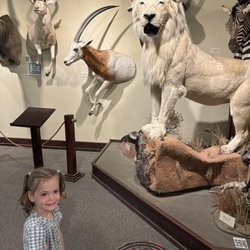 Childrens Museum of NE Montana - Lion