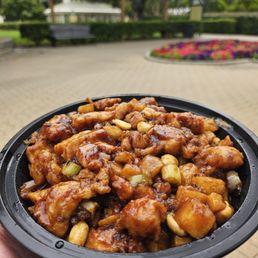 Kung Pao Chicken Kung Pao Chicken