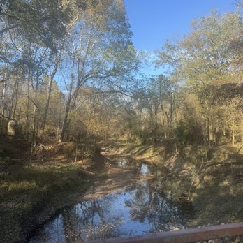 Le Fleur's Bluff State Park - Bridge crossing - Parks Near Me - Jackson, Mississippi