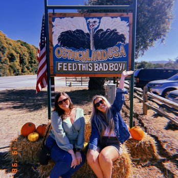 Ostrichland USA - Attraction Farms Near Me - Solvang, California